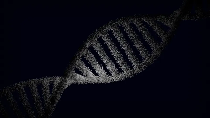 Âge biologique et horloges épigénétiques : quand votre ADN révèle votre véritable jeunesse cellulaire